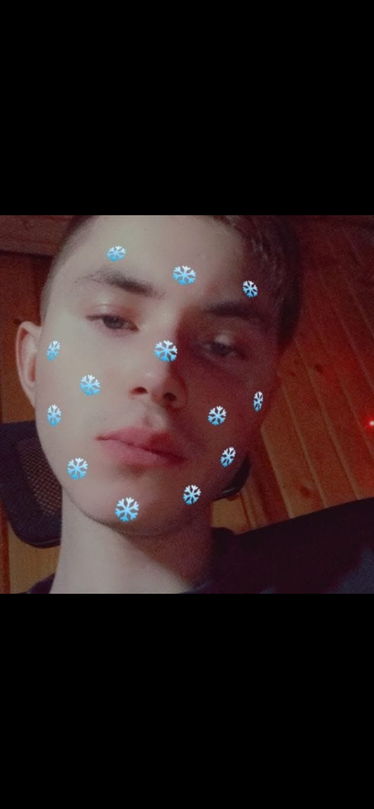 Risto iljin