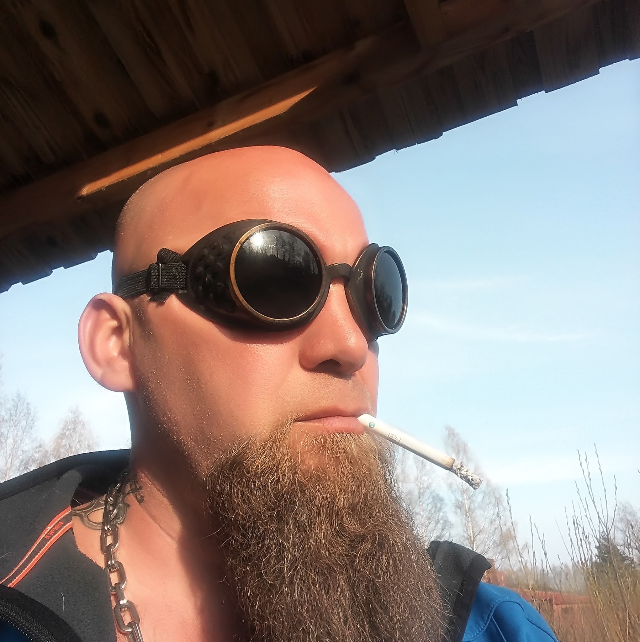 Jako Metsar
